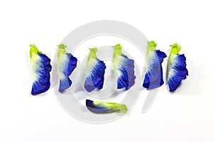 Flowers made Ã¢â¬â¹Ã¢â¬â¹of herbs